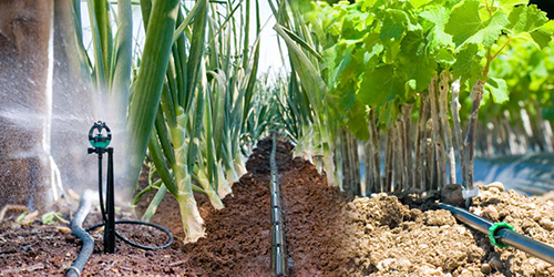 Drip Irrigation System
