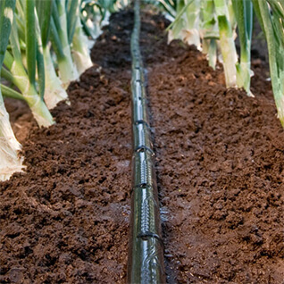 Drip Irrigation System